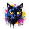Bunte Bombay-Katzengesicht-Splash-Kunst