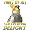 Humour de calopsitte Oiseau Calopsitte Perroquet
