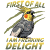 Cockatiel Nymphicus Hollandicus Bird Parrot