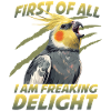 Nymphicus hollandicus cockatiel cheeky parrot