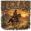 Texan Sunset Rider