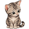 Kitten