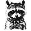 Punk Raccoon