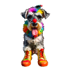 Schnauzer Clown