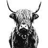 Punk Scotland Highland Cattle