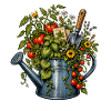 Chaos Gardening Watering Can Tomato Herbs