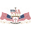 USA 250 Years Anniversary Graphic