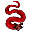 Drache