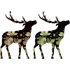 Hirsch