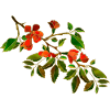 Fleur
