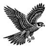 Falcon