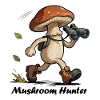 Pilz mit Fernglas, Pilzjäger