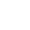 Nordisches Islandpferd