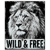 Lion sauvage et libre