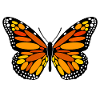 Monarch-Falter