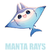Rays Manta Rays