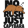 No Rush Just Capybara