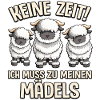 Keine Zeit Walliser Schwarznasenschaf Mädels