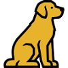 Sitting Dog Golden Retriever Dog School