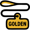 Dog Leash Golden Retriever Walk