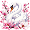 Weißer Schwan mit Kirschblüten