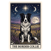 Border Collie Tarotkarte