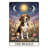 Beagle Tarotkarte