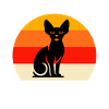 Team Sphynx Cat