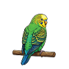 Don't Bother Me Budgie Holder