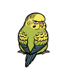 Don't Bother Me Budgie Holder