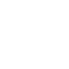 Lion Sayings Lion Funny Lion Gift