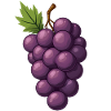 Bunches of grapes
