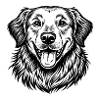 Golden Retriever glücklich