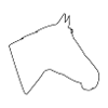 Tête de cheval