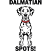 Dalmatian Dog Spots Dalmatian Canine Collar