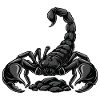 Schwarzer Skorpion-Kaiser Stachel-Spinnen-Tattoo