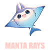 Rays Manta Rays