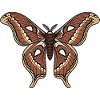 Butterfly Polyphemus Moth Saturnie Wing Tattoo