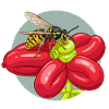 Red Flower Bees Balloon