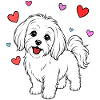 Malteser_Hund_stehend_Herz_weiss