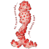 Hippocampe pygmée – Mi forma extraña