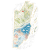 Belize Belizean Root