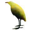 Rohrdommel