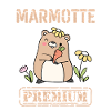 Marmotte Carotte Premium