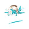 Propellerflugzeug Roll Spruch
