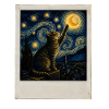 Star cat in night style