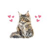 Maine Coon Pajama