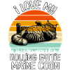 funny Maine Coon