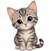 Dear Kitten