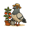Balcony Pigeon Tomatoes Shirt